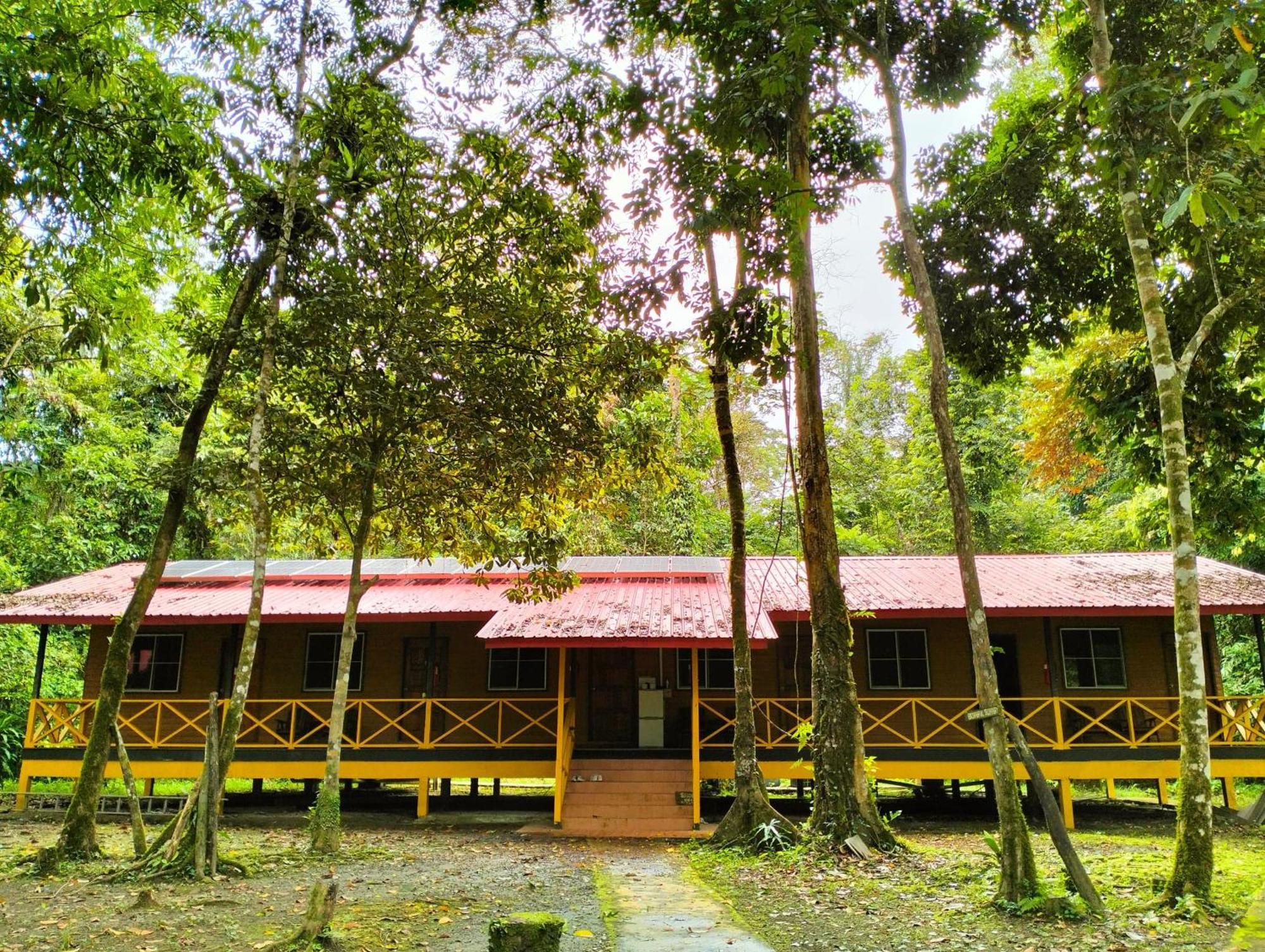 Villa Borneo Jungle Adventure Kinabatangan Exterior foto