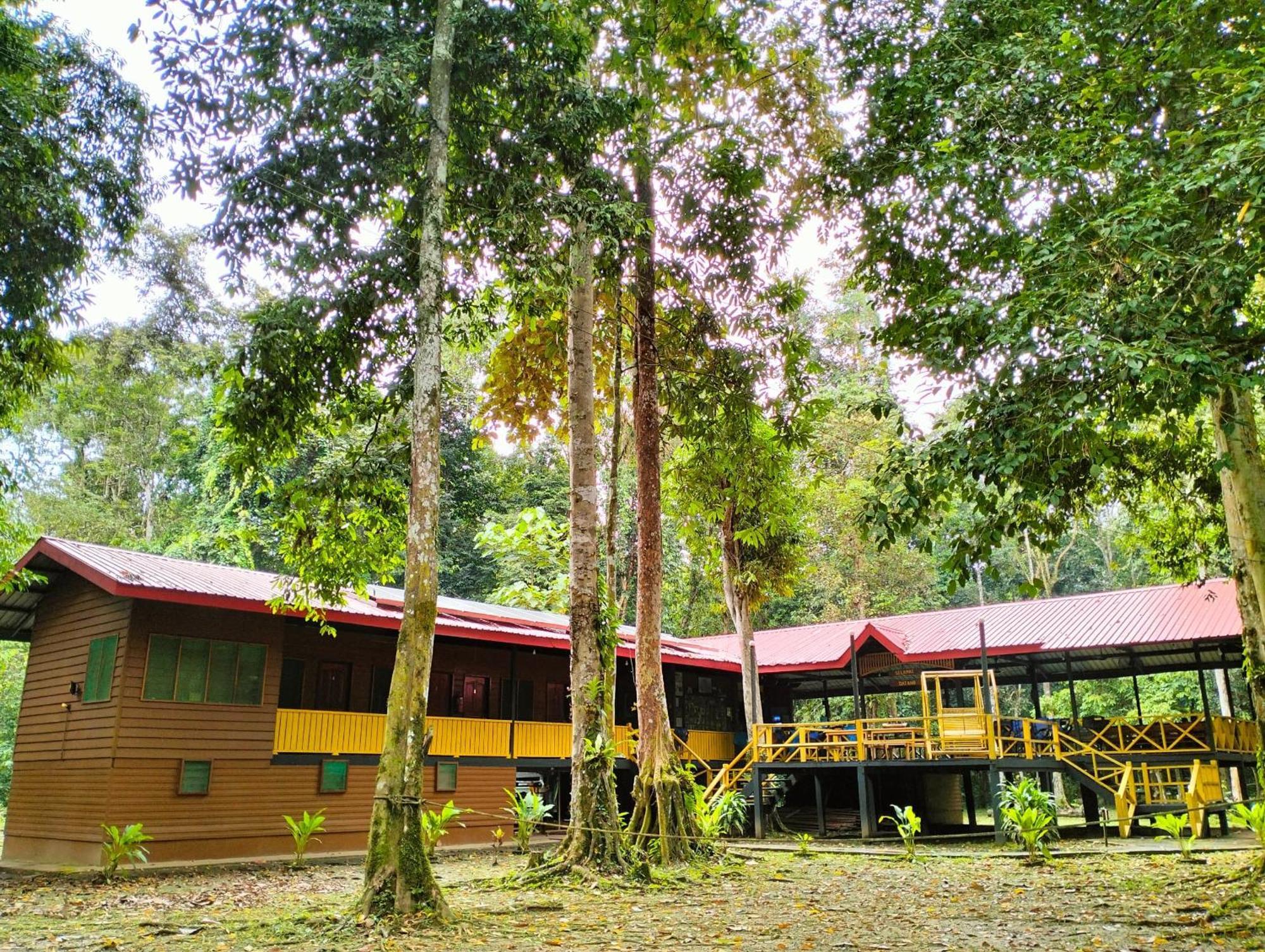 Villa Borneo Jungle Adventure Kinabatangan Exterior foto
