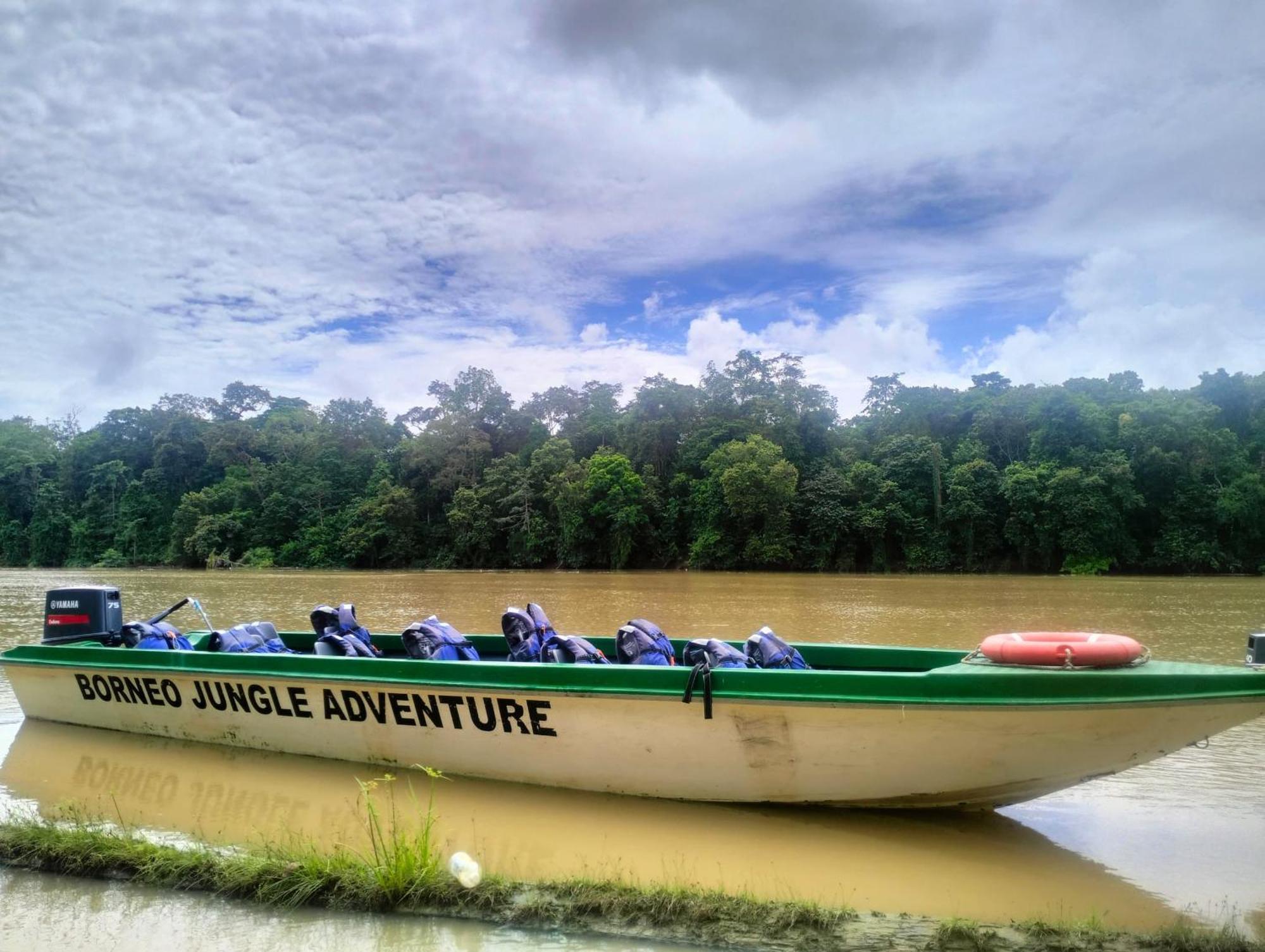 Villa Borneo Jungle Adventure Kinabatangan Exterior foto