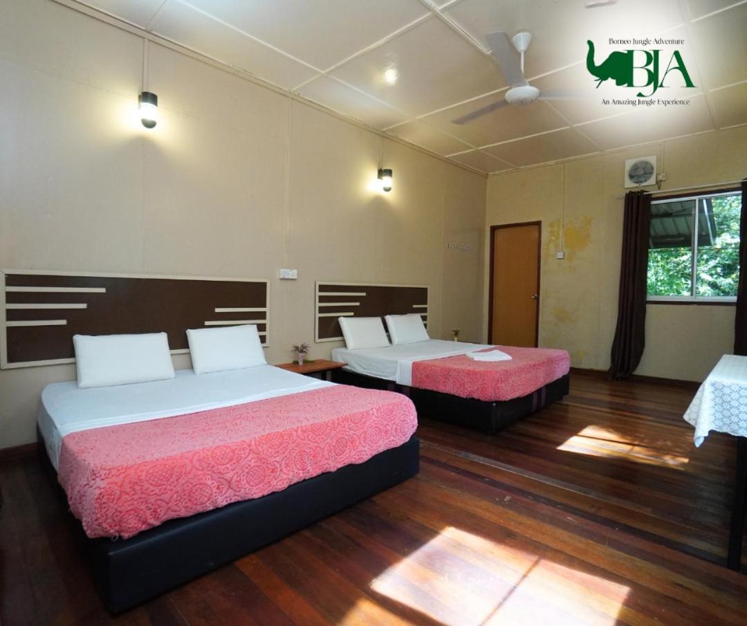 Villa Borneo Jungle Adventure Kinabatangan Exterior foto