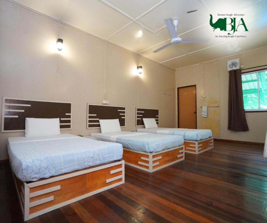 Villa Borneo Jungle Adventure Kinabatangan Exterior foto